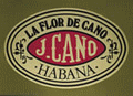 FLOR DE CANO